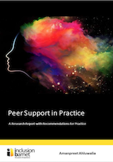Cover Peer Support in Practice