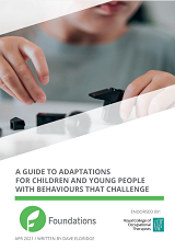 Cover_GuideAdaptationsChildrenYoungPeopleBehavioursChallenge