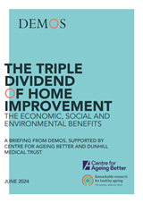Demos report cover