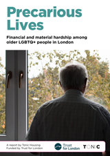 Precarious Lives COVER