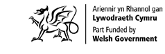 Welsh Government logo