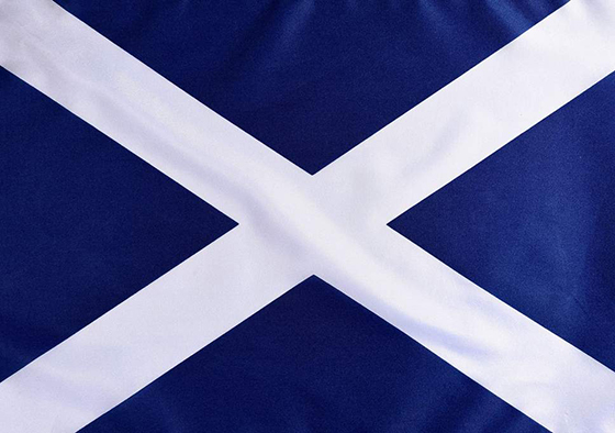 Scottish Flag 560